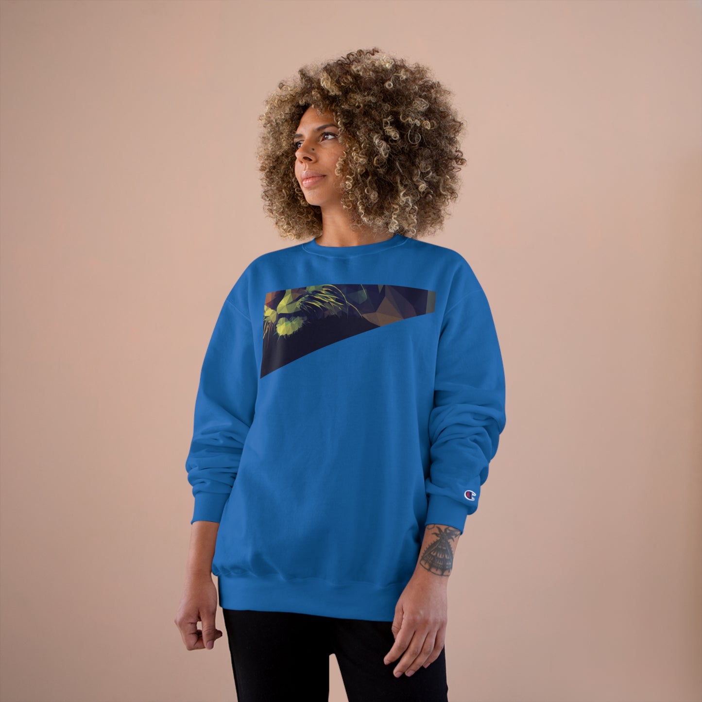 Geometric Cat Champion Sweatshirt - Cozy & Stylish Apparel for Cat Lovers