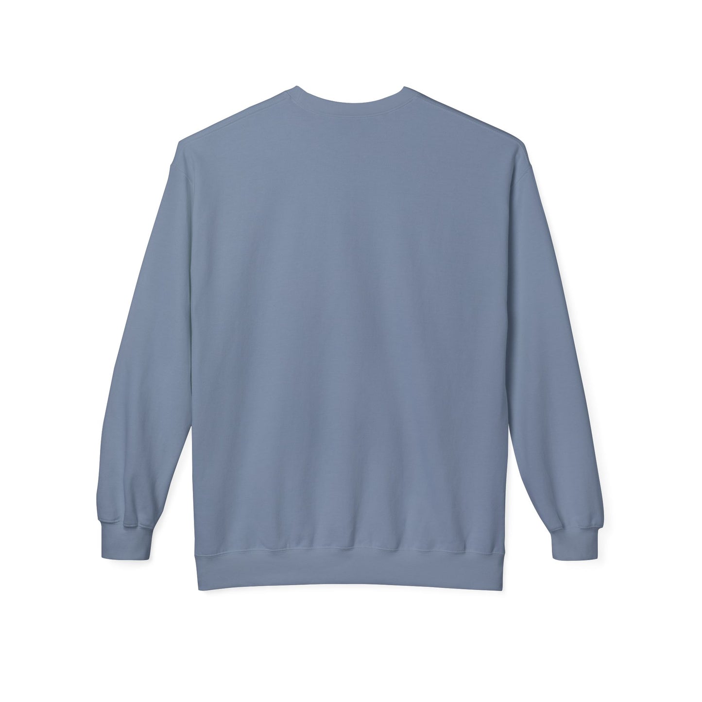 Vintage Turtle Graphic Fleece Crewneck Sweatshirt