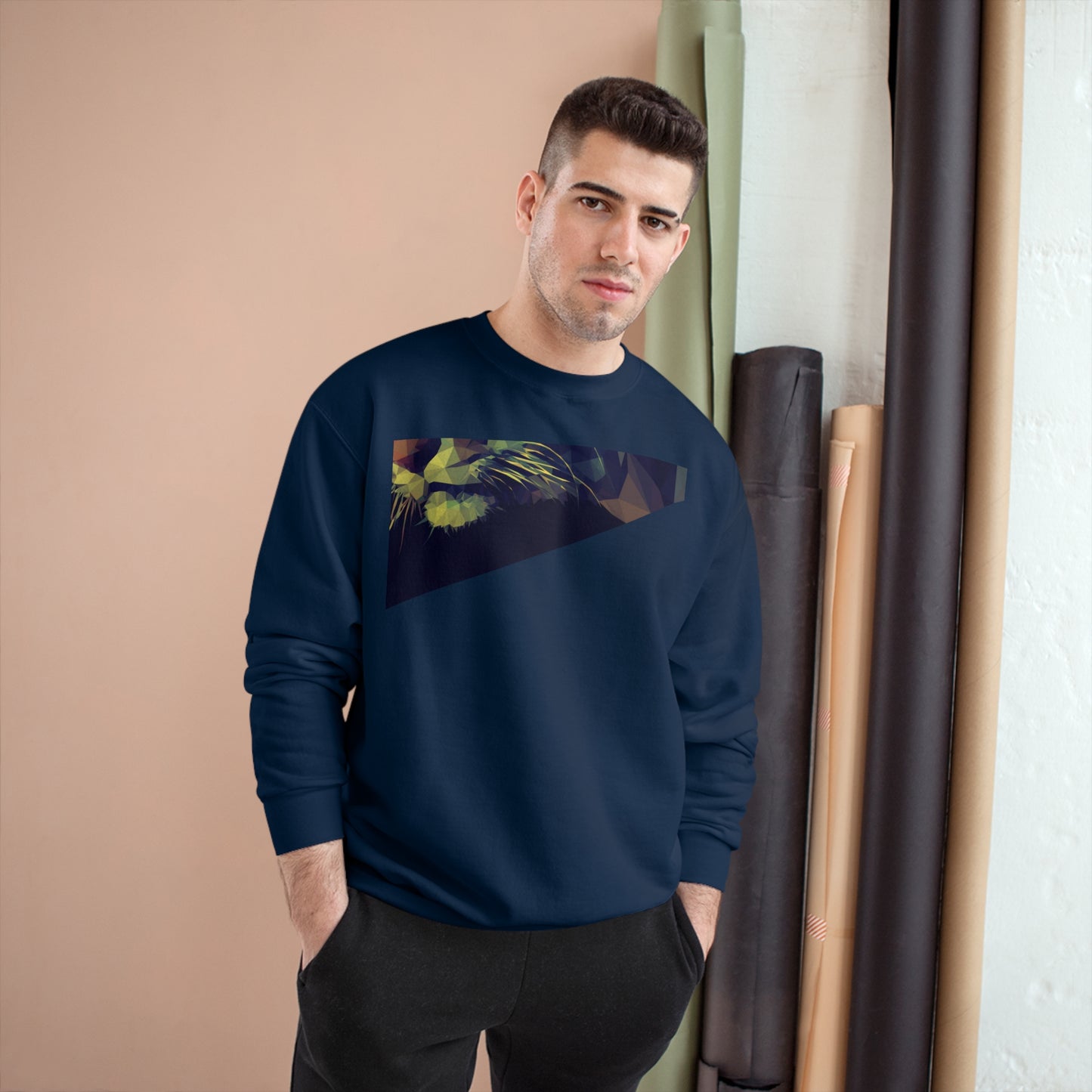 Geometric Cat Champion Sweatshirt - Cozy & Stylish Apparel for Cat Lovers