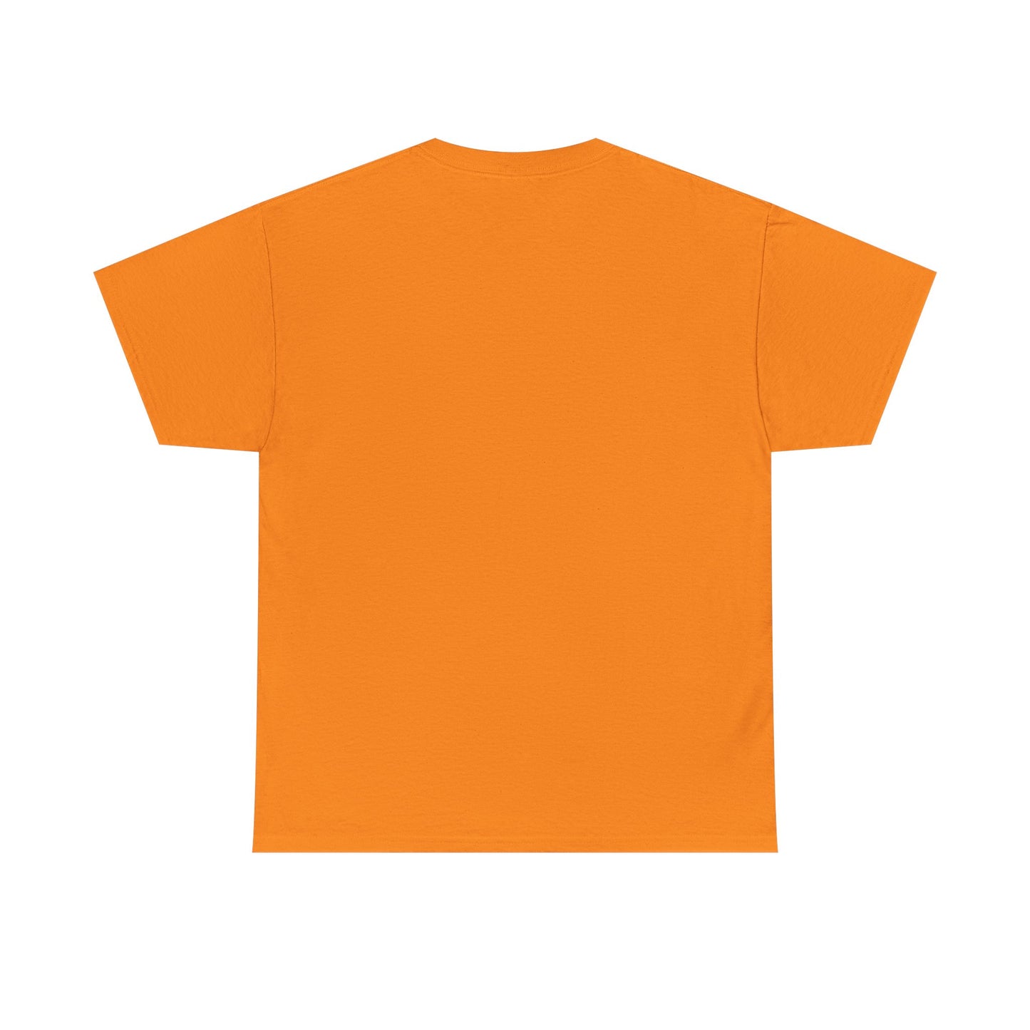Unisex Heavy Cotton Tee - Vintage Dinosaur Graphic Tees