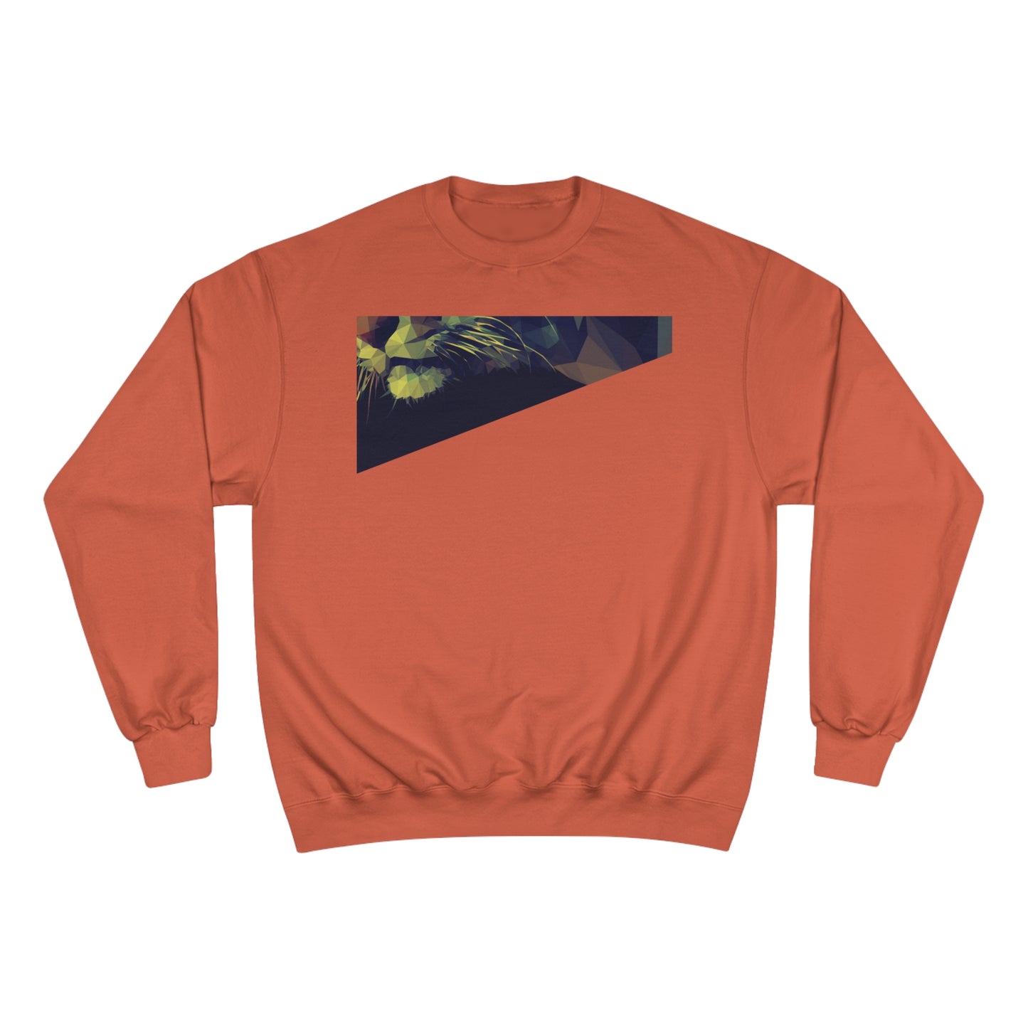 Geometric Cat Champion Sweatshirt - Cozy & Stylish Apparel for Cat Lovers