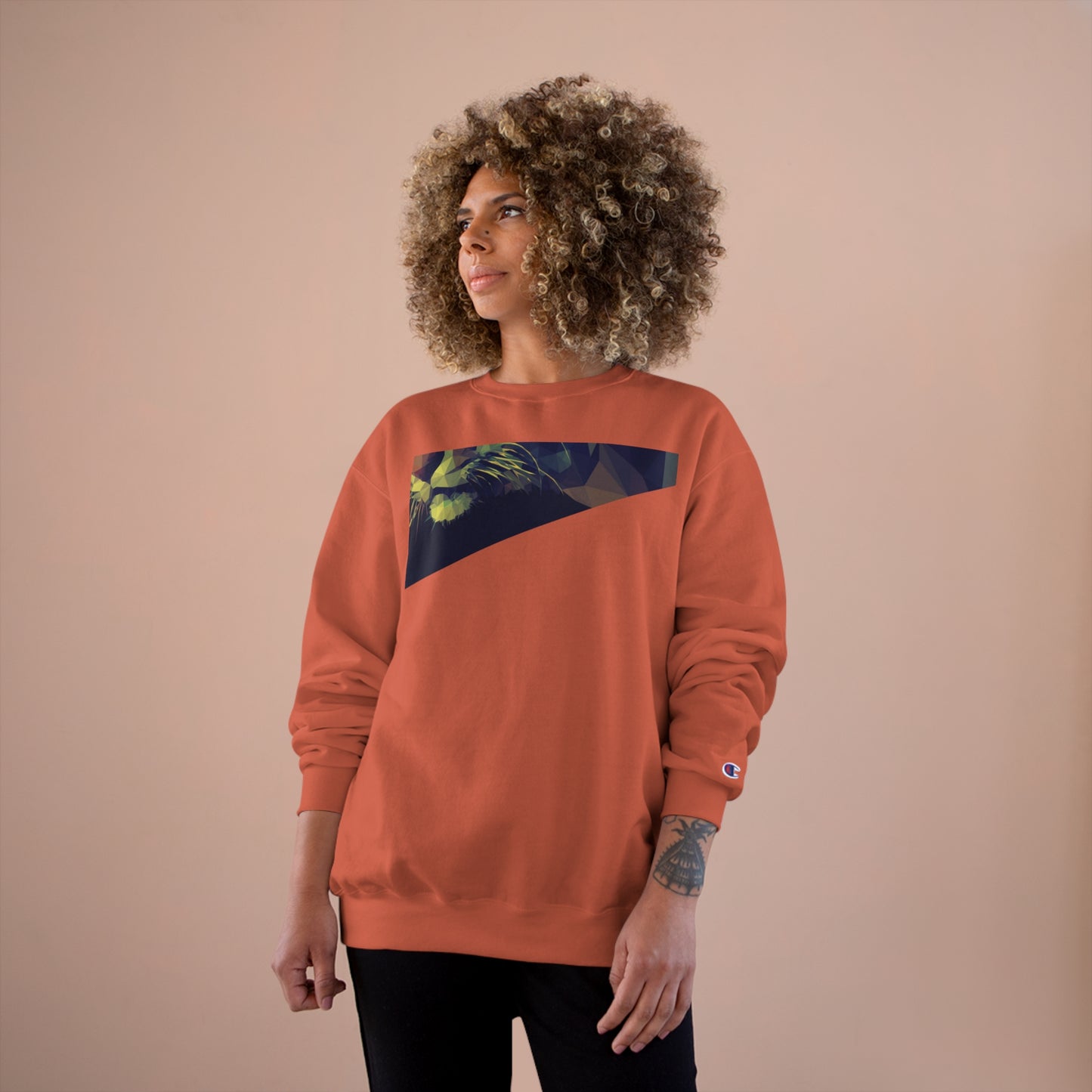 Geometric Cat Champion Sweatshirt - Cozy & Stylish Apparel for Cat Lovers