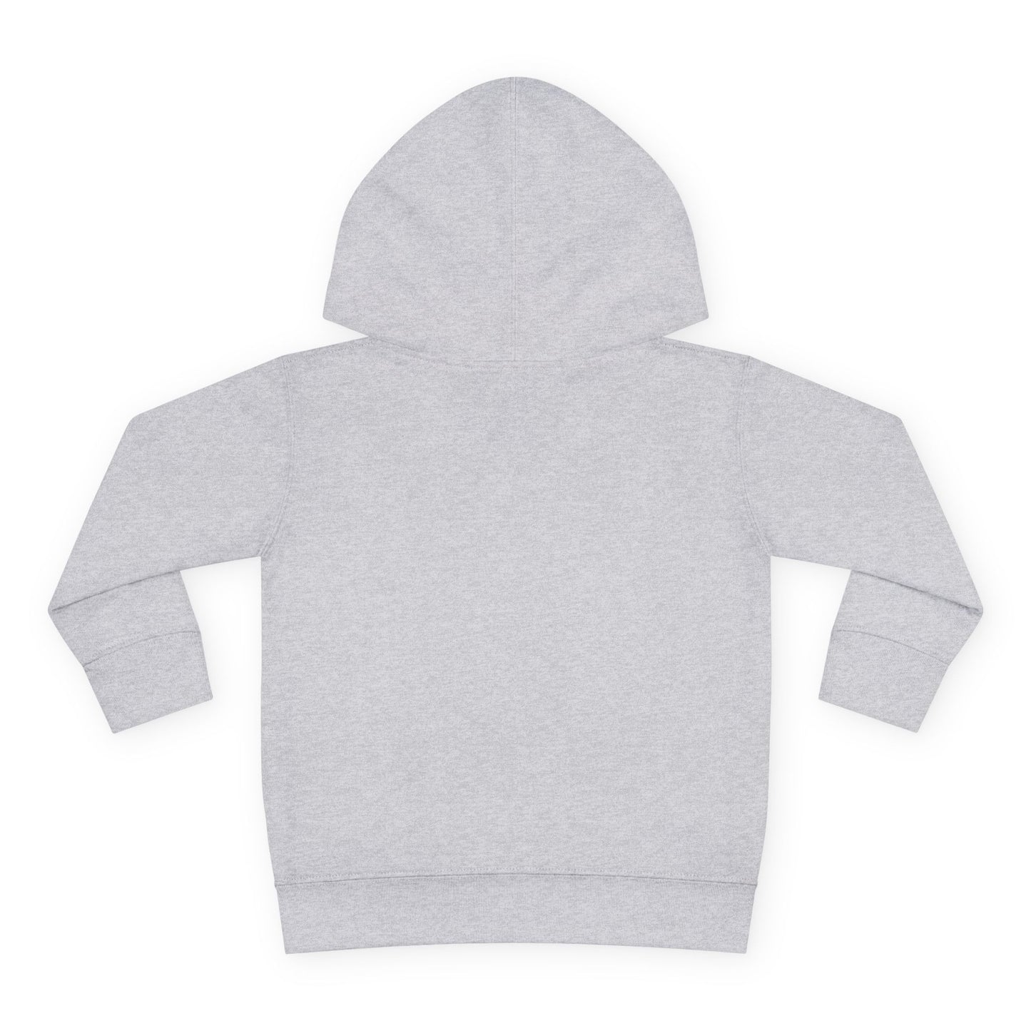 Colorful Easter Bunny Toddler Pullover Hoodie