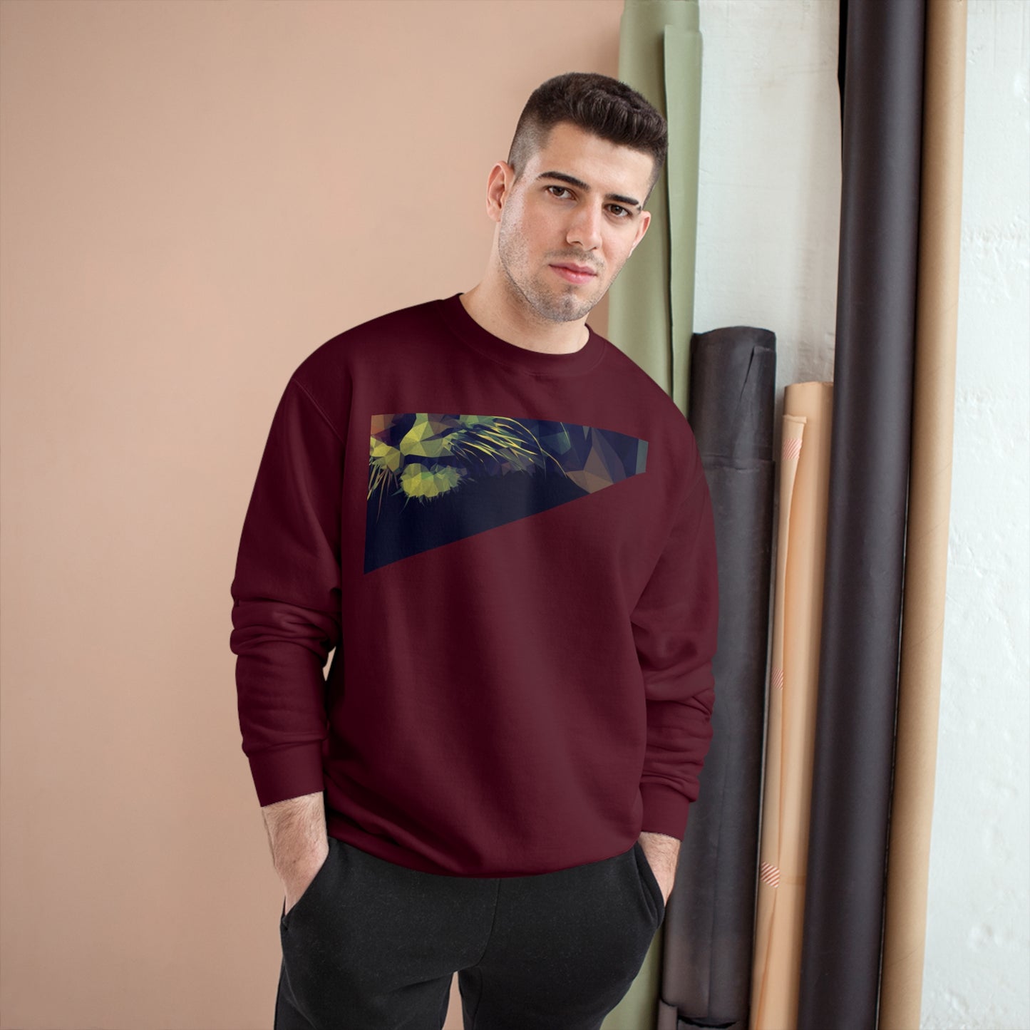 Geometric Cat Champion Sweatshirt - Cozy & Stylish Apparel for Cat Lovers