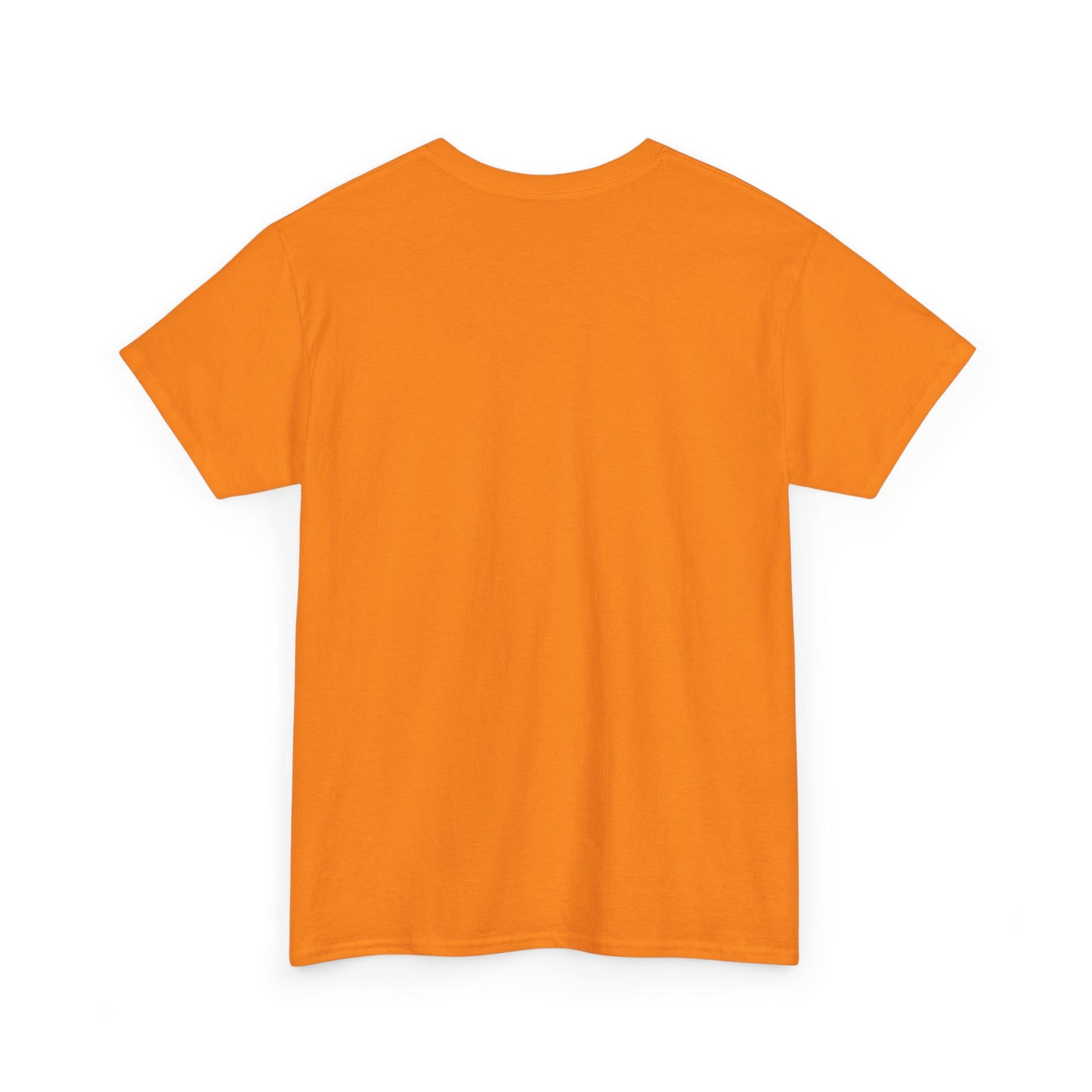 Unisex Heavy Cotton Tee - Vintage Dinosaur Graphic Tees