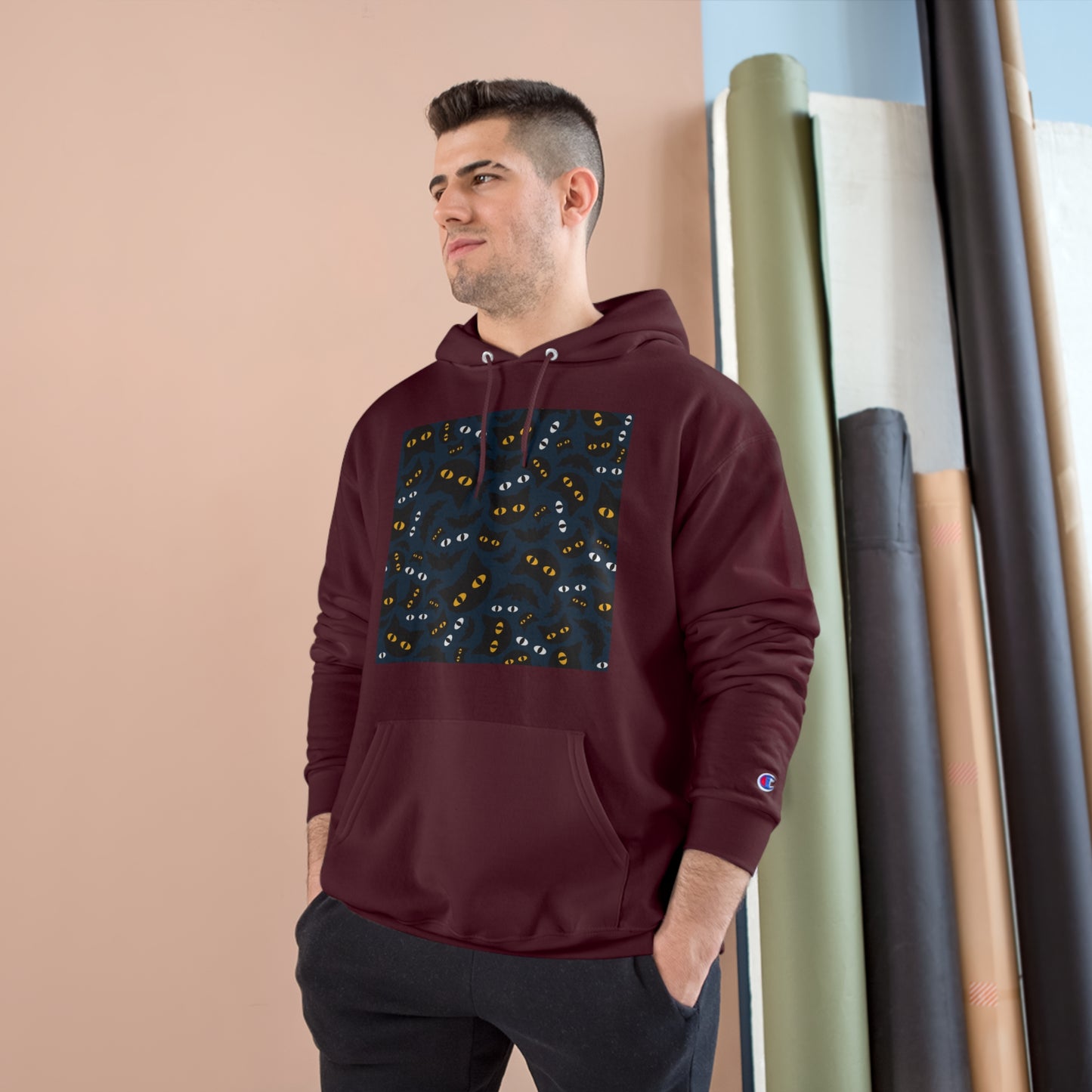 Cozy Cat-Themed Champion Hoodie for Cat Lovers