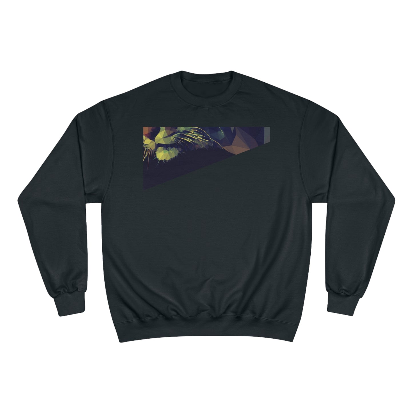 Geometric Cat Champion Sweatshirt - Cozy & Stylish Apparel for Cat Lovers
