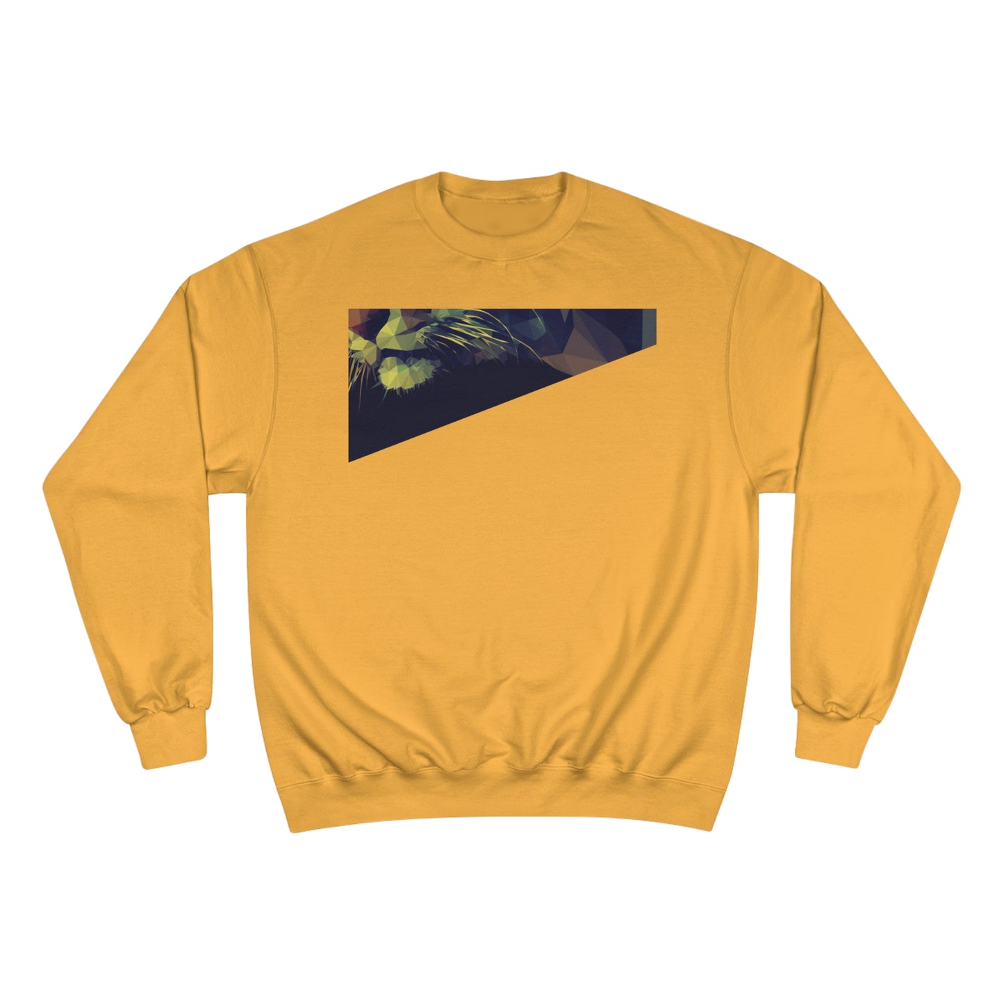 Geometric Cat Champion Sweatshirt - Cozy & Stylish Apparel for Cat Lovers