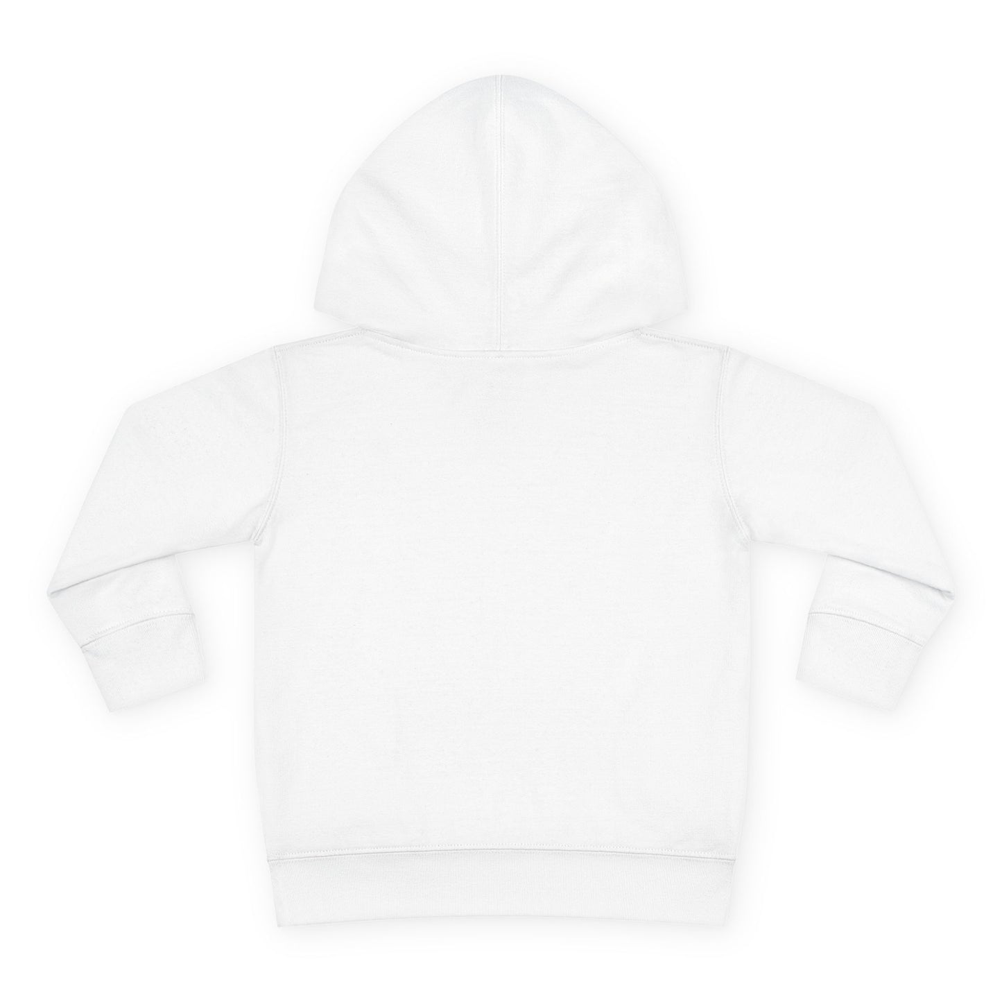 Colorful Easter Bunny Toddler Pullover Hoodie