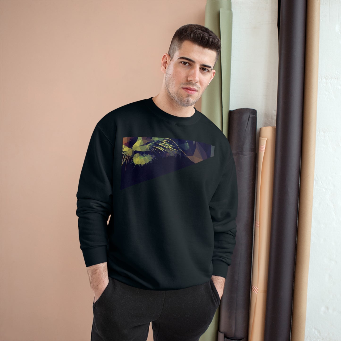 Geometric Cat Champion Sweatshirt - Cozy & Stylish Apparel for Cat Lovers