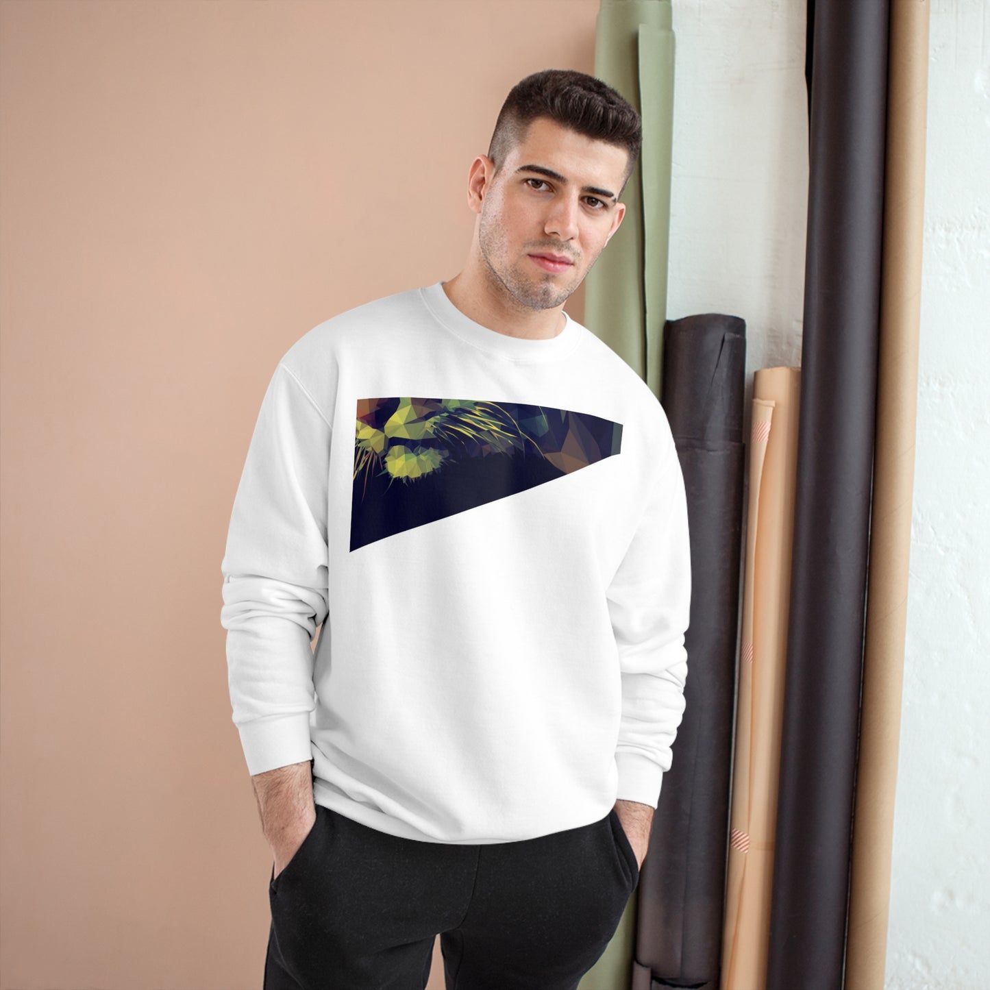 Geometric Cat Champion Sweatshirt - Cozy & Stylish Apparel for Cat Lovers