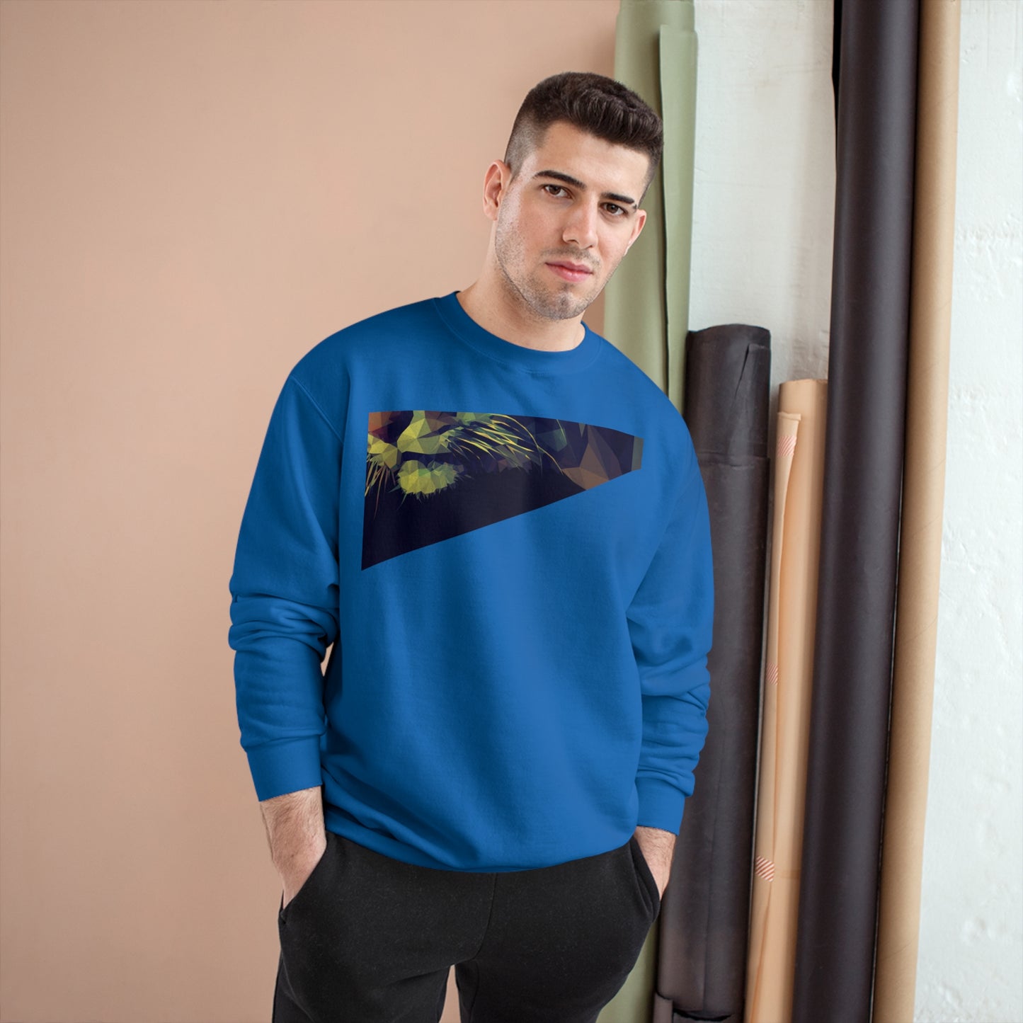 Geometric Cat Champion Sweatshirt - Cozy & Stylish Apparel for Cat Lovers