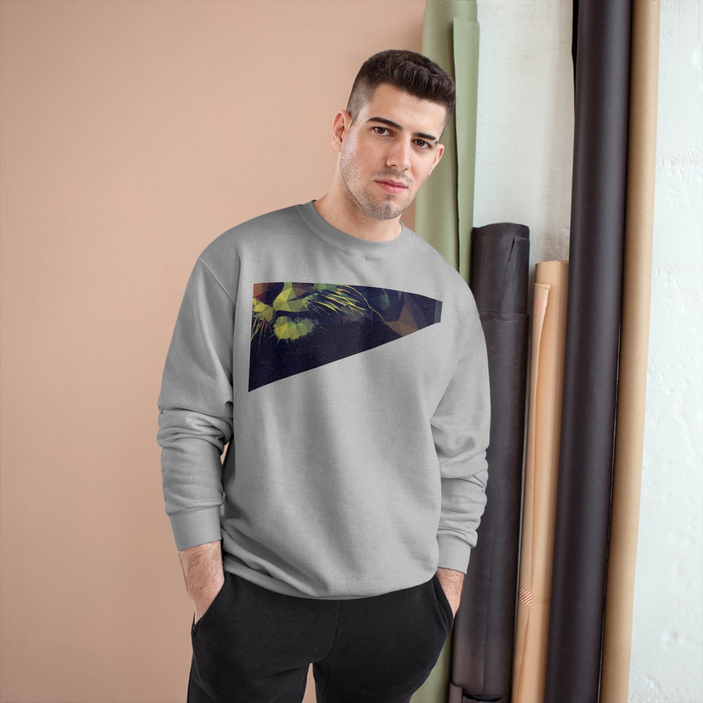 Geometric Cat Champion Sweatshirt - Cozy & Stylish Apparel for Cat Lovers