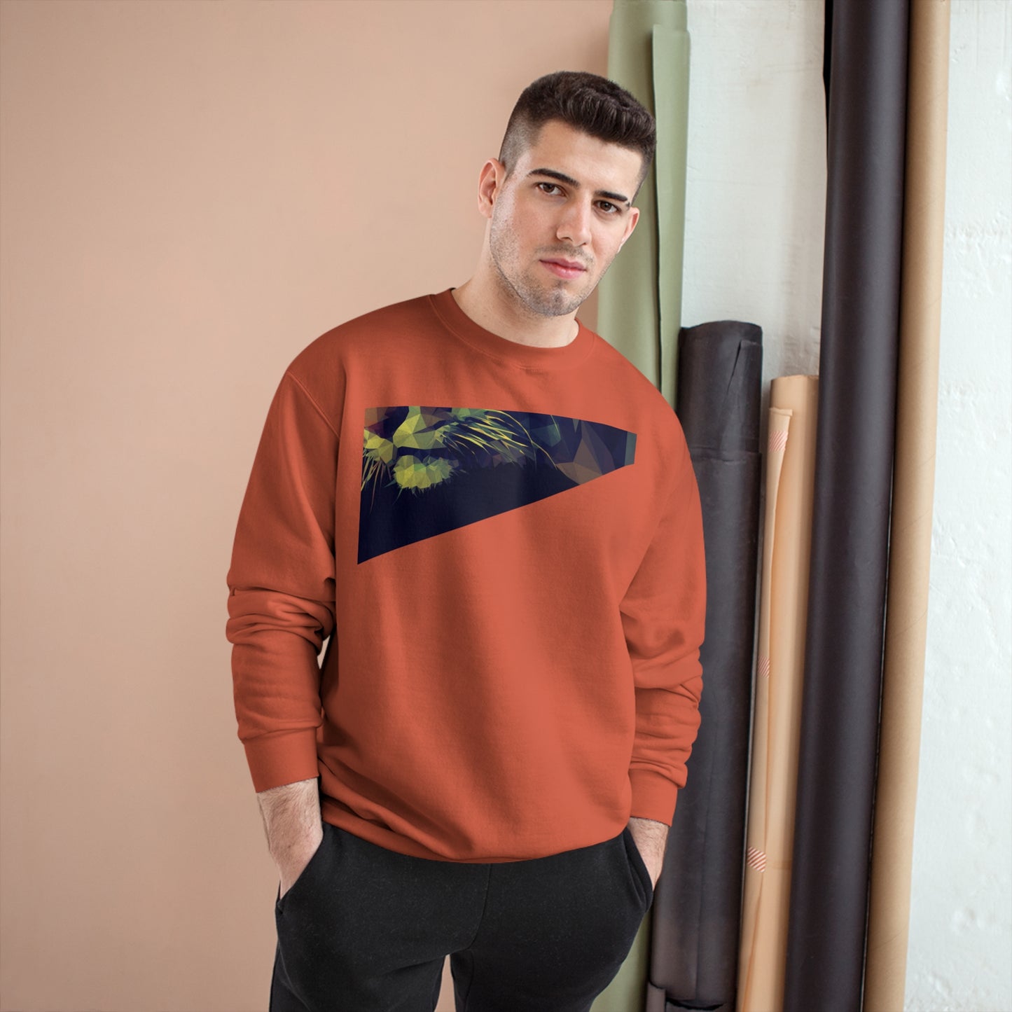 Geometric Cat Champion Sweatshirt - Cozy & Stylish Apparel for Cat Lovers