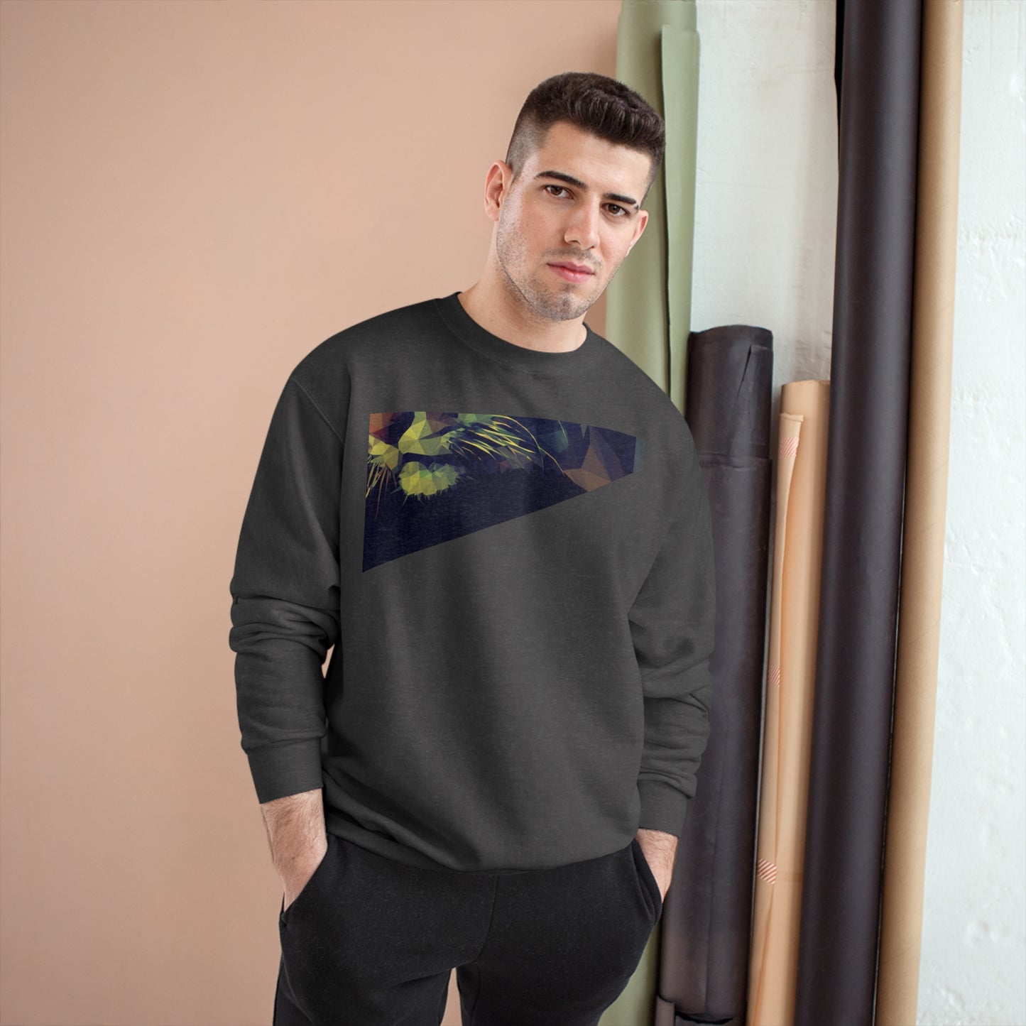 Geometric Cat Champion Sweatshirt - Cozy & Stylish Apparel for Cat Lovers