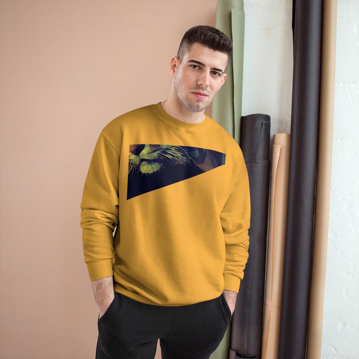 Geometric Cat Champion Sweatshirt - Cozy & Stylish Apparel for Cat Lovers
