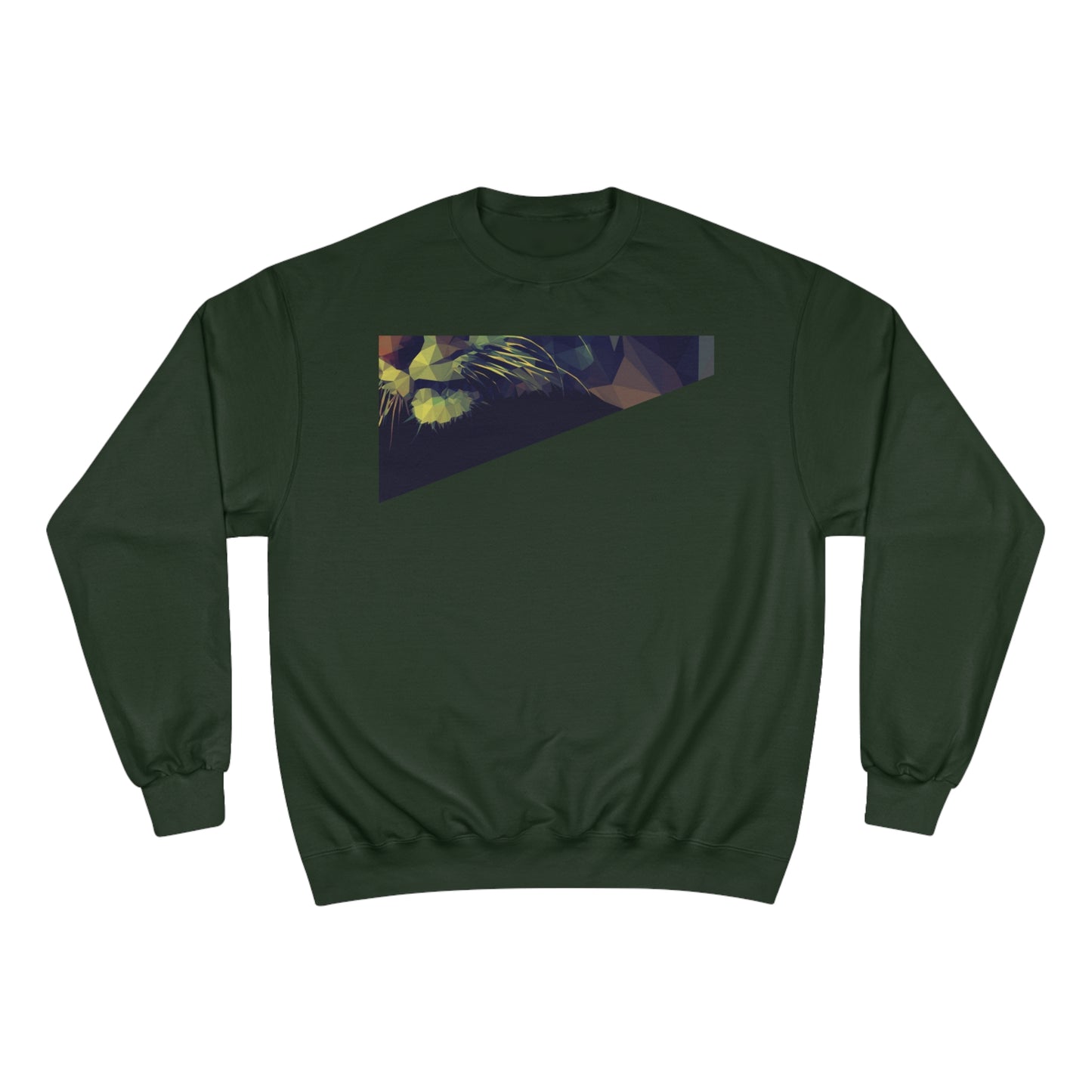 Geometric Cat Champion Sweatshirt - Cozy & Stylish Apparel for Cat Lovers